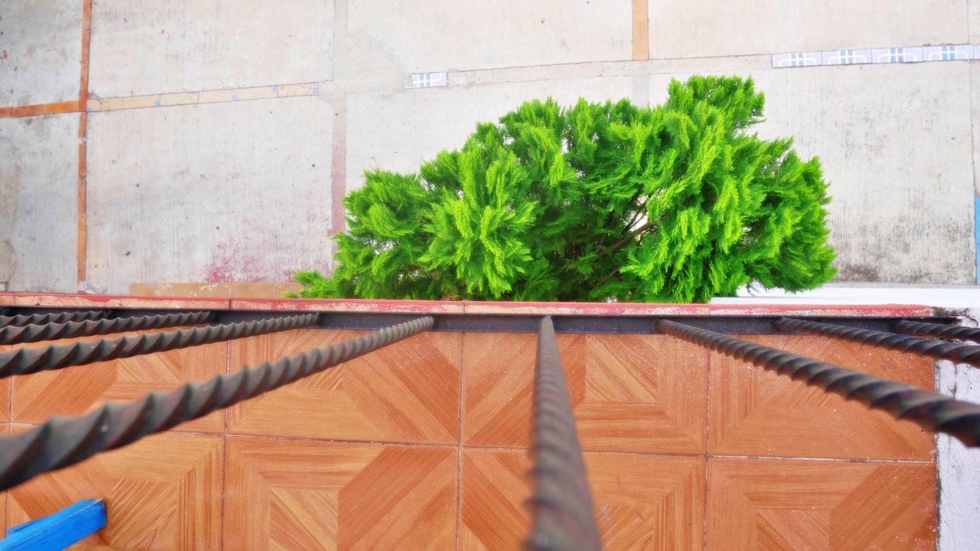 Casa El Mundo Hostel Oaxaca ภายนอก รูปภาพ