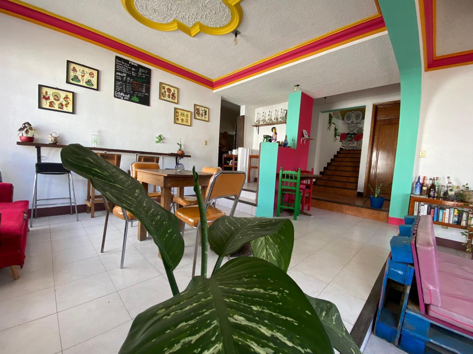Casa El Mundo Hostel Oaxaca ภายนอก รูปภาพ