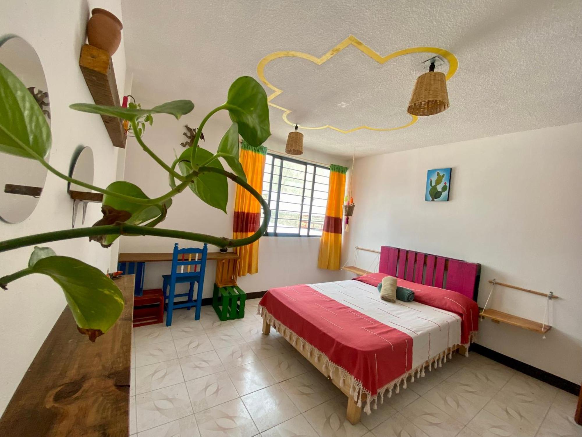 Casa El Mundo Hostel Oaxaca ภายนอก รูปภาพ